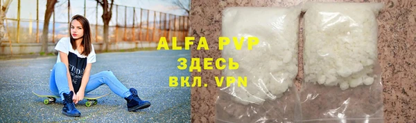 индика Балахна