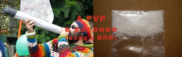 PSILOCYBIN Балабаново