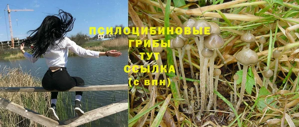 PSILOCYBIN Балабаново