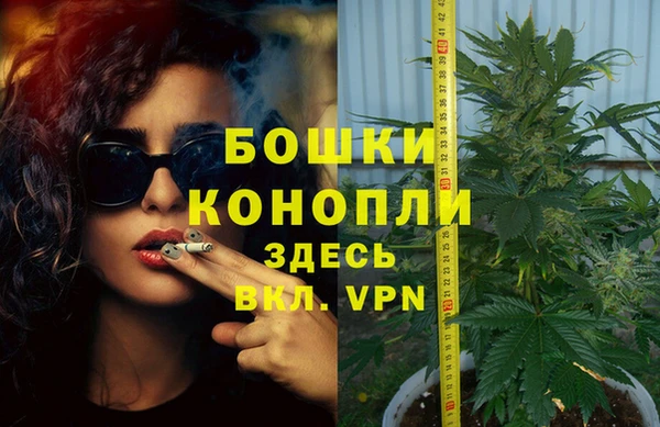 индика Балахна