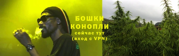 PSILOCYBIN Балабаново