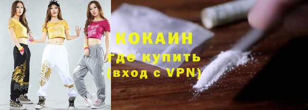 индика Балахна