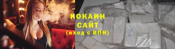 индика Балахна
