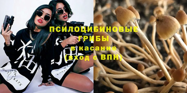 индика Балахна