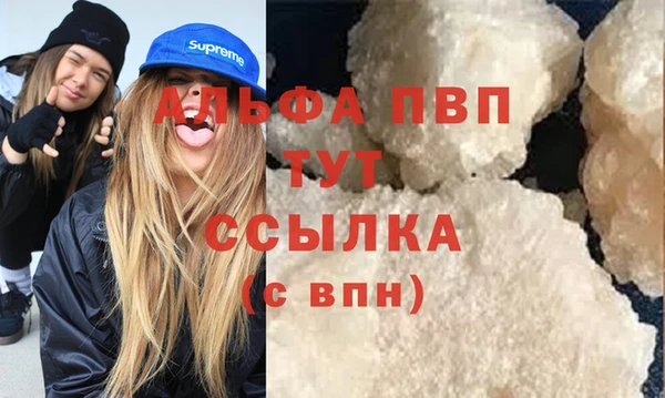 индика Балахна