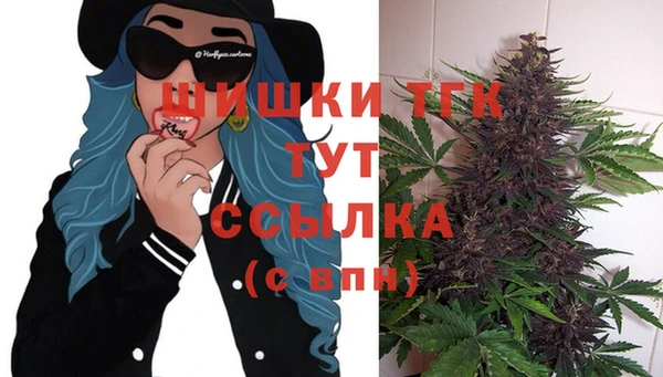 индика Балахна