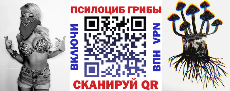 Галлюциногенные грибы Psilocybine cubensis  нарко площадка какой сайт  Верхотурье 